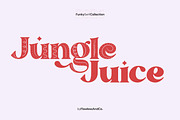 The Vangelo - Modern Fun Retro Serif, a Serif Font by Flawless And Co (Thumbnail 8 of 10)