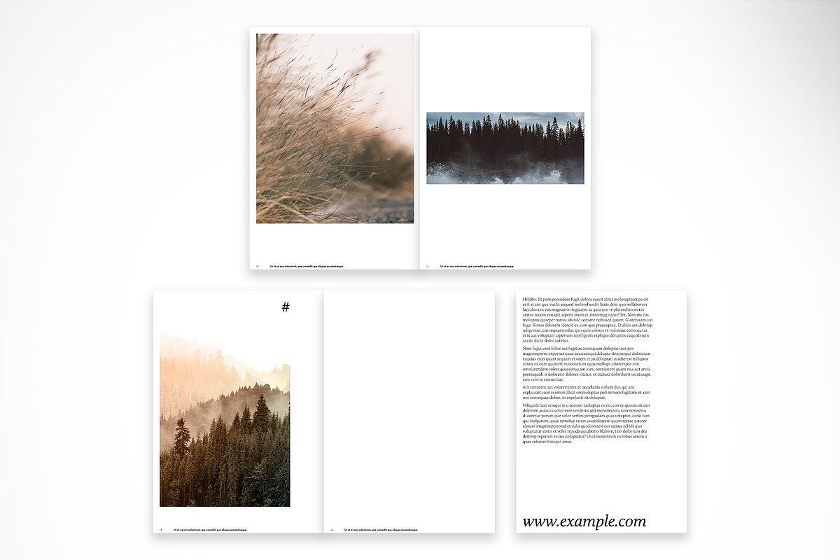 Subtle Theme Brochure, a Brochure Template by McLittle Stock (Photo 4 of 5)