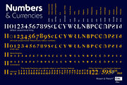 Rosart & Fleisch PRO+Wld1 2FontPack, a Serif Font by California Type Foundry (Thumbnail 7 of 8)