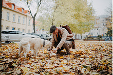 Dog owner picking excrements in by  in Photos