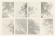 Dappled - Botanical Shadow Overlays, a Texture Graphic by alonahaidash (Thumbnail 10 of 16)