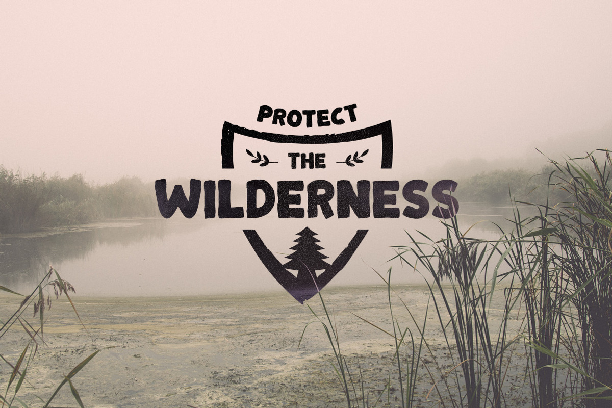 Bonfire Typeface preview 3