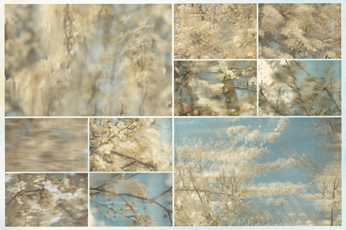 Plum Blossom Floral Backgrounds, a Background Graphic by lerinartstudio (Photo 10 of 11)