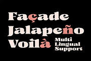 Caleit - Variable Font, a Serif Font by Get Studio (Thumbnail 11 of 20)