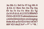 Strage - Luxury Serif Font, a Serif Font by Pandeka Studio (Thumbnail 9 of 9)