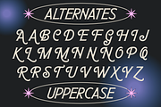 TAN - REQUIEM, a Serif Font by TanType (Thumbnail 11 of 11)