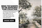 30+ Timeless Olive Grove & Mist, a Decorative Illustration by Virgo Studio (Thumbnail 6 of 6)