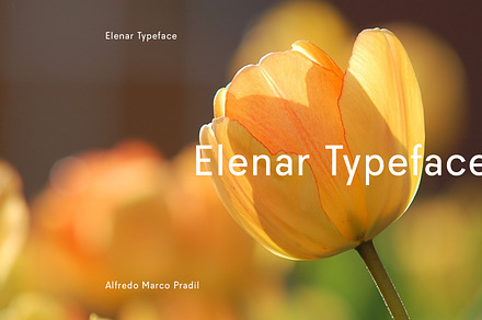 Elenar Typeface