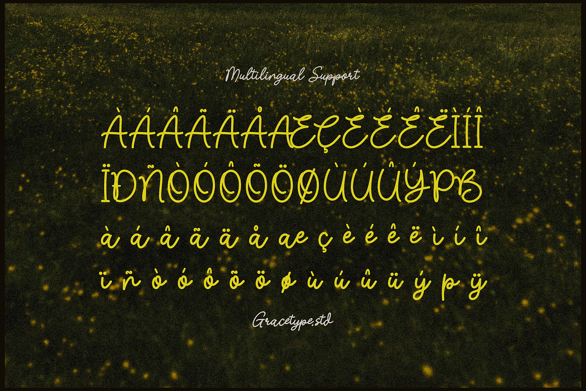 Nicolla Sunfield | Monoline Script, a Script Font by gracetype_studio (Photo 11 of 12)