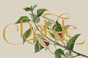 Madhik Bagimar — Elegant Luxury Font, a Serif Font by Enxyclo Studio (Thumbnail 18 of 21)