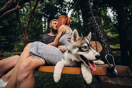 Beautiful couple together with dog on a swing stock photo containing couple