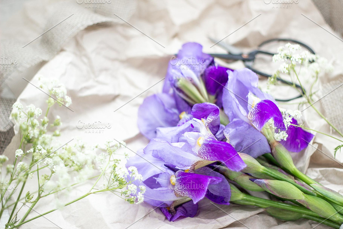 Purple Iris Styled Stock Collection, a Photo by Chalking Up Stock (Photo 2 of 19)