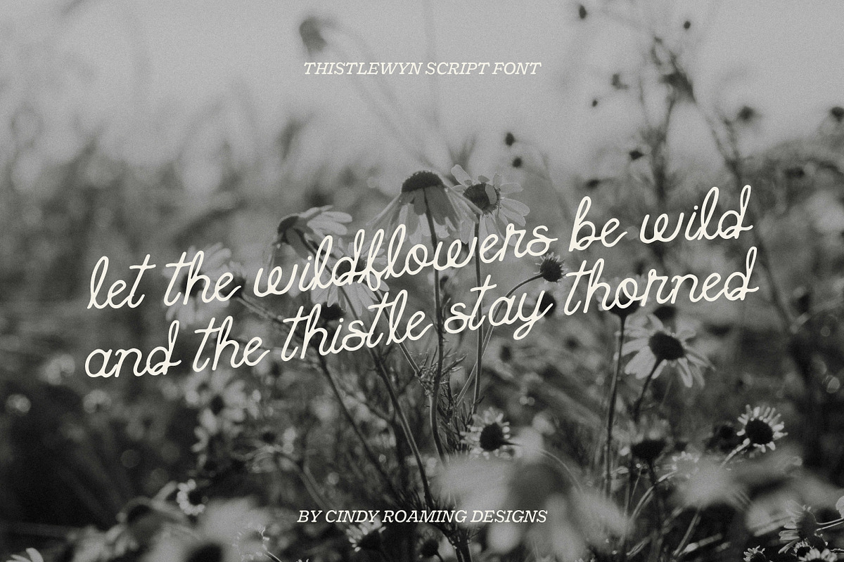 Thistlewyn by Cindy Roaming Designs, a Script Font by cindyroamingdesigns (Photo 3 of 6)