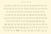 Allenia Serif - Modern Font, a Serif Font by Youthlabs Studio (Thumbnail 16 of 21)