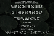 Winter Mountain, a Sans Serif Font by FreshTypeINK (Thumbnail 7 of 7)