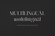 Maglite - Modern Ligature Serif, a Serif Font by Sarid Ezra (Thumbnail 11 of 13)