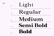 Valero - Classic Serif Family, a Serif Font by Indotype Foundry (Thumbnail 2 of 10)