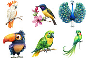 Watercolor Tropical Birds Clipart, an Illustration by Watercolor design (Thumbnail 4 of 4)