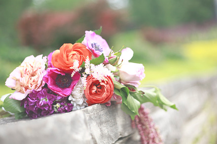 White Flowers 3 Stock Picture preview 4