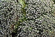Broccoli, a Texture Graphic by MHLY (Thumbnail 2 of 2)