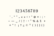 Modest Steady Display Serif Font, a Serif Font by UICreative (Thumbnail 7 of 13)