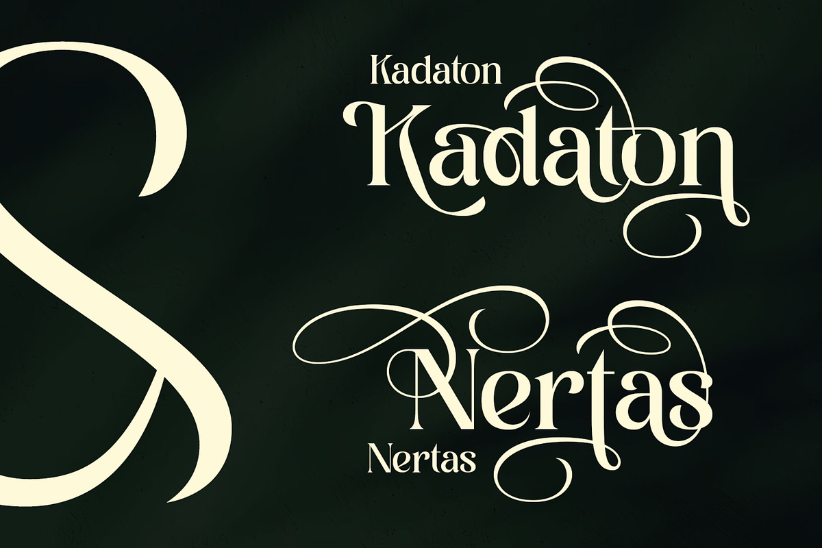Ladya | Serif Display Font, a Serif Font by Ekahermawan (Photo 8 of 15)