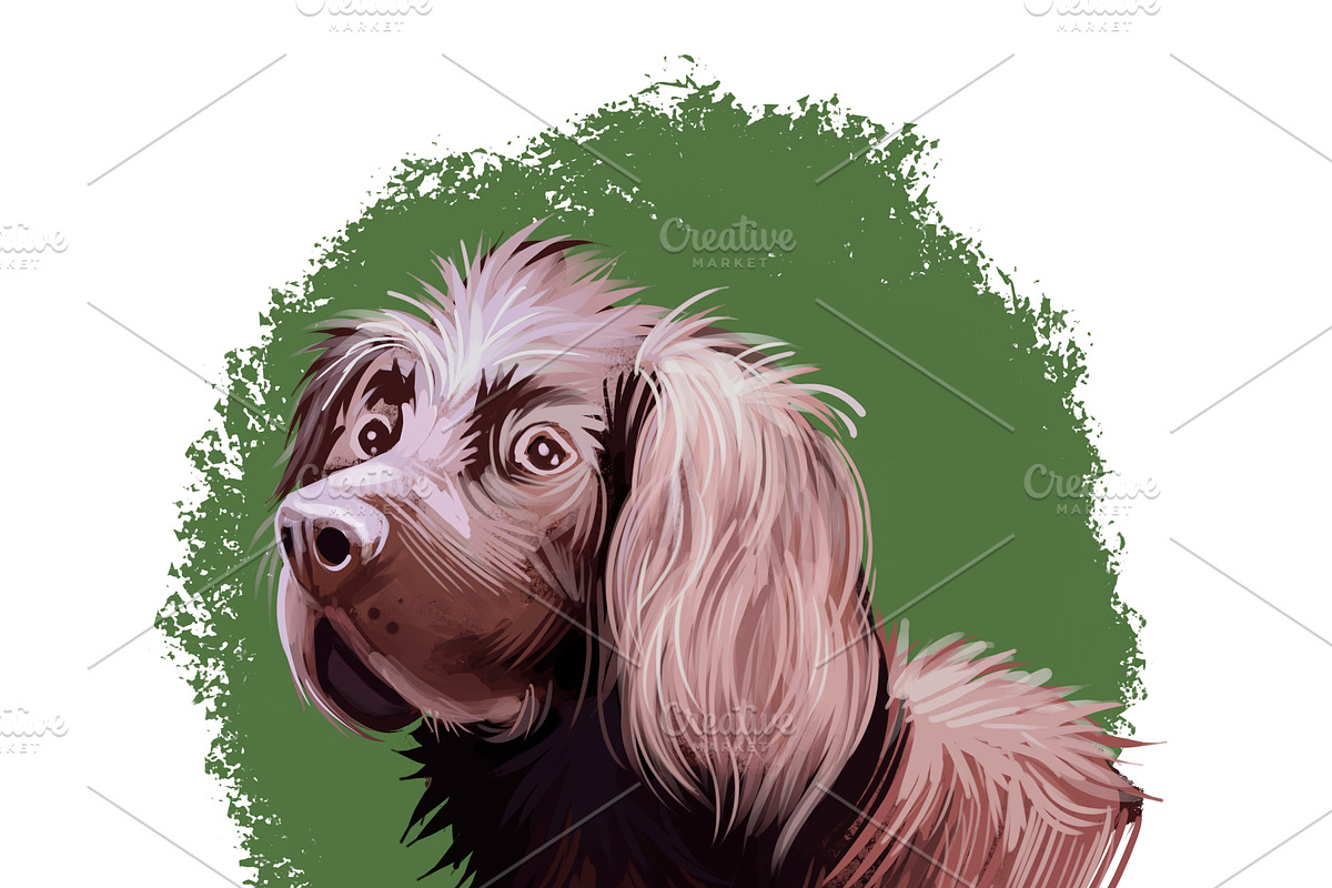 Most Popular Dog Breeds Pet Portrait, an Animal Illustration by Dneprstock (Photo 10 of 23)