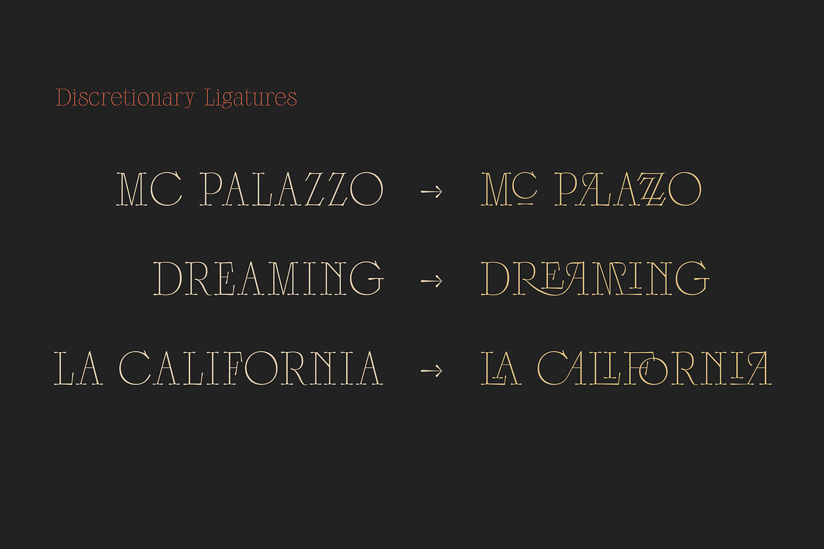Scottsdale Serif preview 3