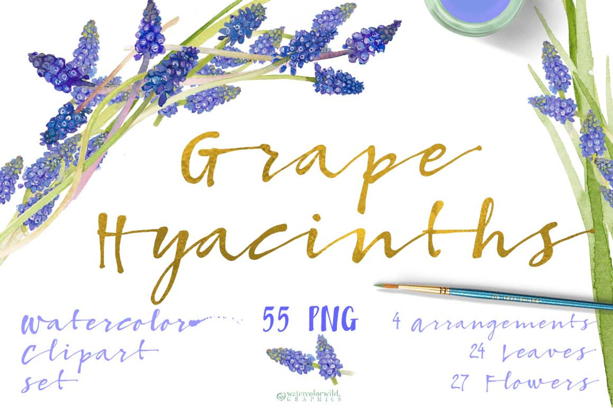 Grape Hyacinths_Blue Spring, an Illustration by watercolorwild.graphics (Photo 1 of 8)