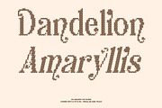 CS Aquary Stitched, a Serif Font by Craft Supply Co. (Thumbnail 3 of 8)