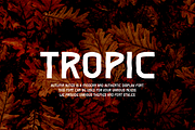 Autumn Autes - Tropical Font, a Sans Serif Font by Iqsiart Studio (Thumbnail 2 of 6)