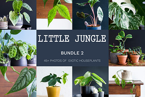 Little Jungle Image Bundle 2