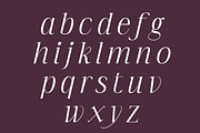Imperial Aureas a Minimal Serif, a Serif Font by Lettertype Studio (Thumbnail 10 of 16)