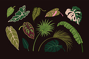 Exotic leaves. Green leaf plants set, a Decorative Illustration by Good Studio (Thumbnail 6 of 10)