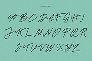 Mr. Skywhale Signature Script Font, a Handwritten Font by ashenterprise (Thumbnail 11 of 16)