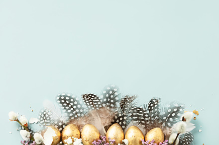 Raw of golden quail eggs and quail feathers on blue background., a Holiday Photo by Natalia Klenova's Shop