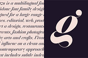 Jitzu Font Family, a Serif Font by Anthony James (Thumbnail 3 of 9)
