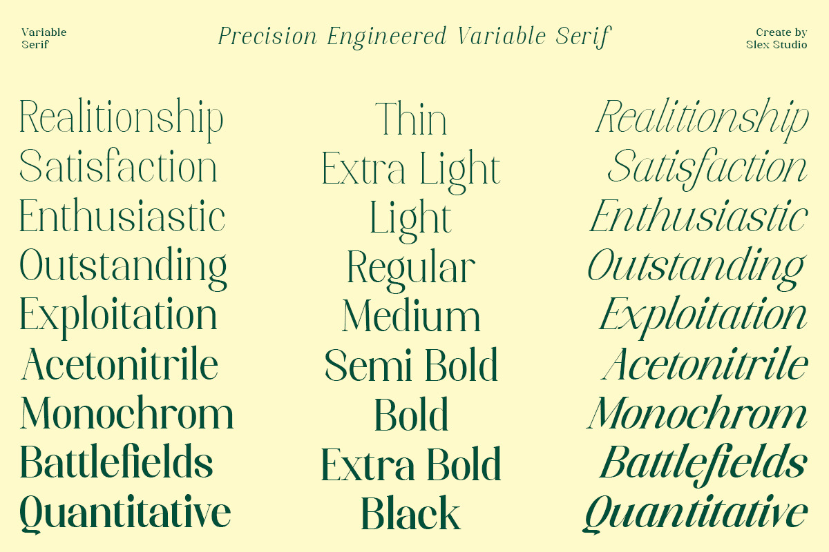Axerifa Variable, a Serif Font by Slex Studio (Photo 2 of 12)