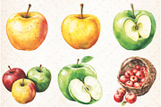 Watercolor Apples Clipart, an Illustration by Libby Wishes (Thumbnail 5 of 5)
