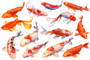 Lotus flowers and koi fish, an Animal Illustration by Hanna Hryharenka (Thumbnail 2 of 13)