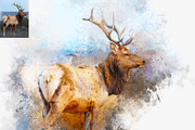 Animal Digital Painting Photo Effect, an Action Add-On by MRI STUDIO (Thumbnail 2 of 12)