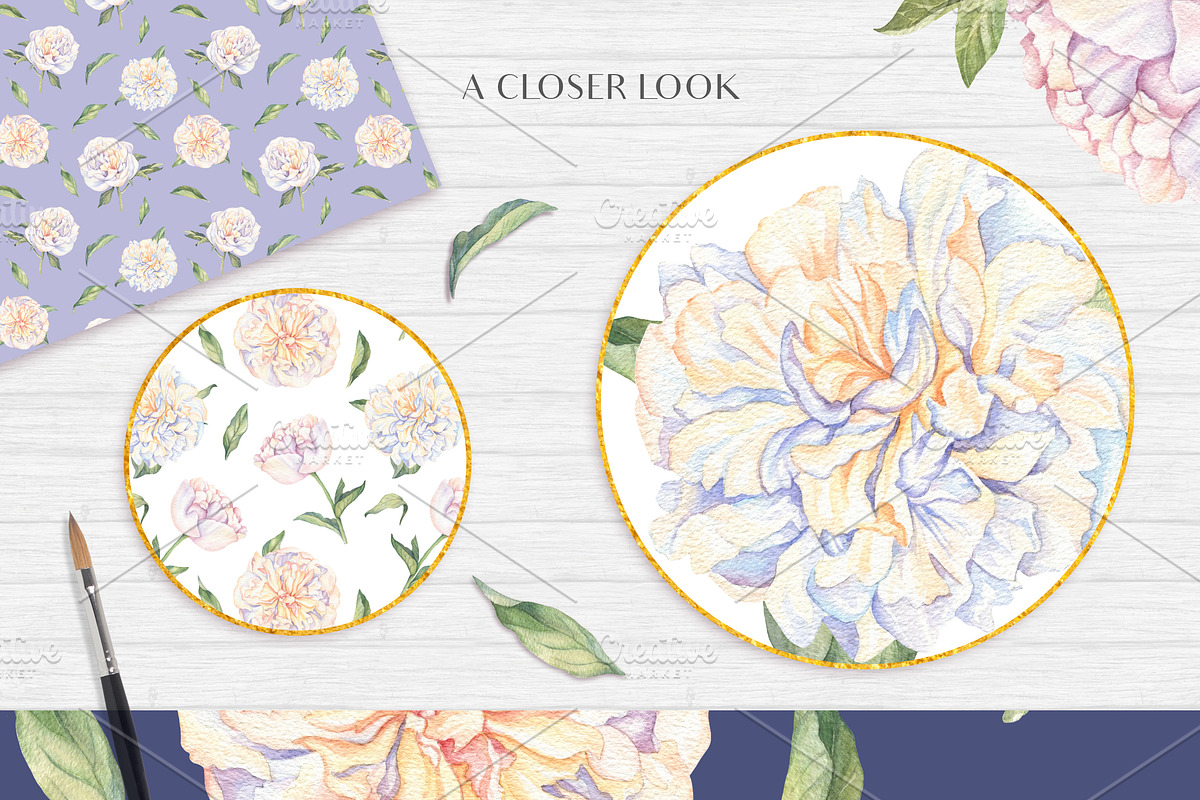 White Peonies-Watercolor Set, a Decorative Illustration by Irina Diasli (Photo 8 of 10)