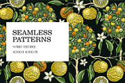 Yuzu - Citrus Fruit and Patterns, a Food Illustration by Yevheniia (Thumbnail 7 of 12)