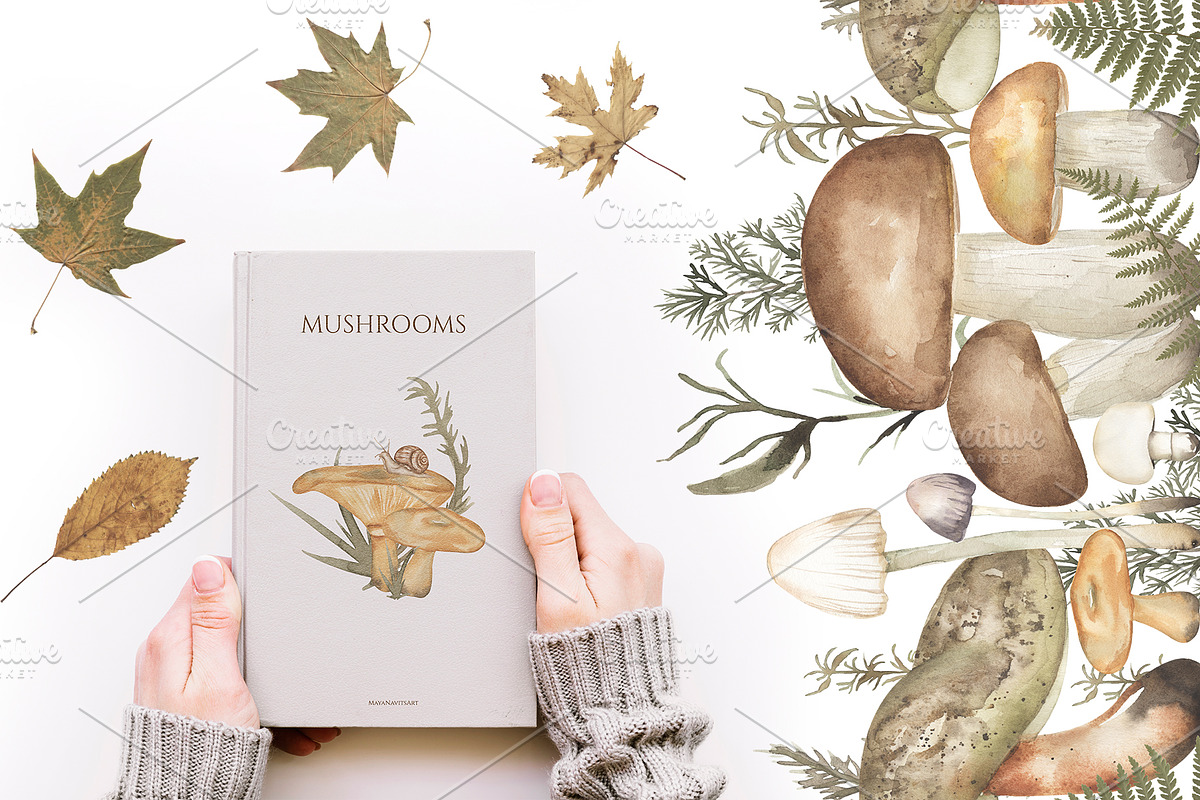 Watercolor Mushrooms Collection, an Education Illustration by MayaNavits (Photo 10 of 14)