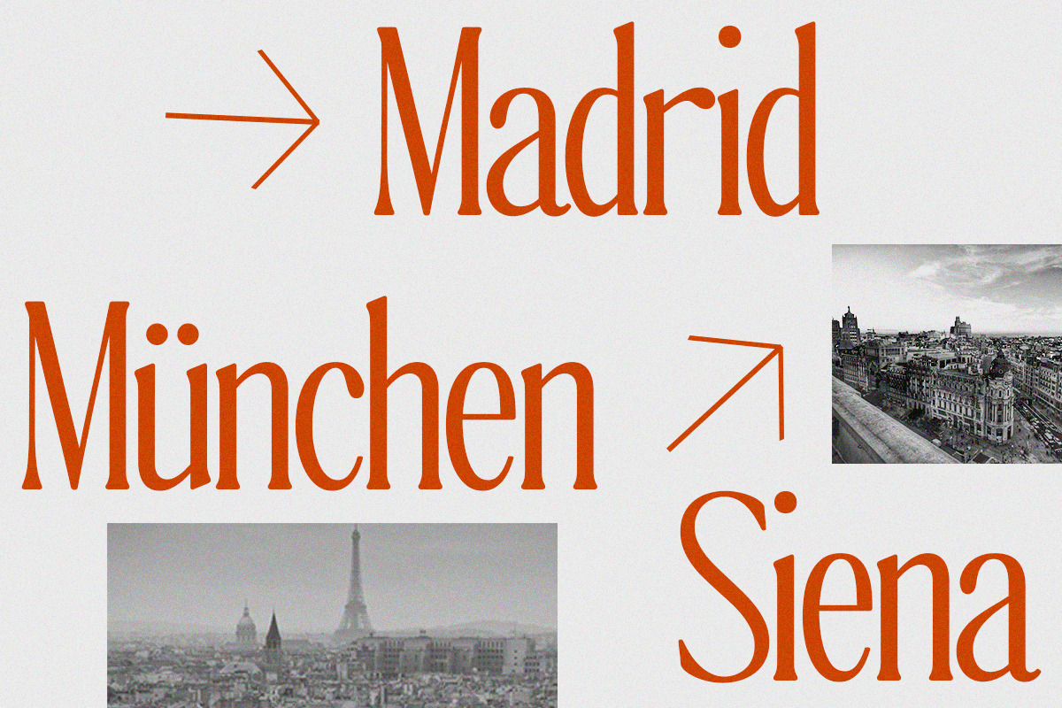 The Qualified Family (54 Fonts), a Serif Font by Positive TypeFoundry (Photo 2 of 15)