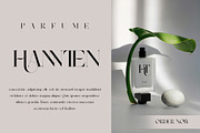 Gabule Modern Elegant Serif, a Serif Font by Alfinart (Thumbnail 6 of 10)