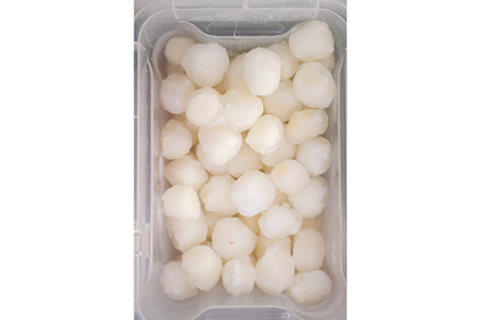 Frozen scallop in fridge at the fish, a Food & Drink Photo by Jan Jack Russo Media