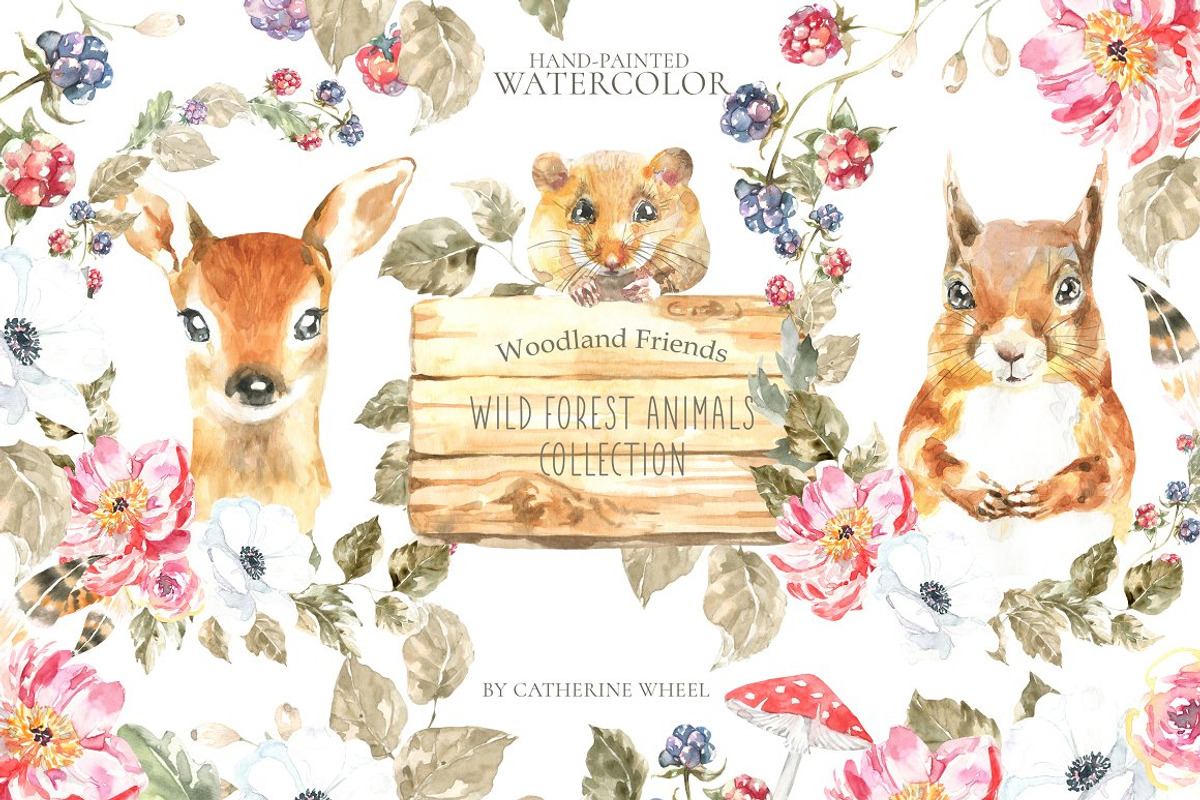 52in1 Whole Shop Bundle Watercolor, an Animal Illustration by Catherine Wheel (Photo 7 of 28)