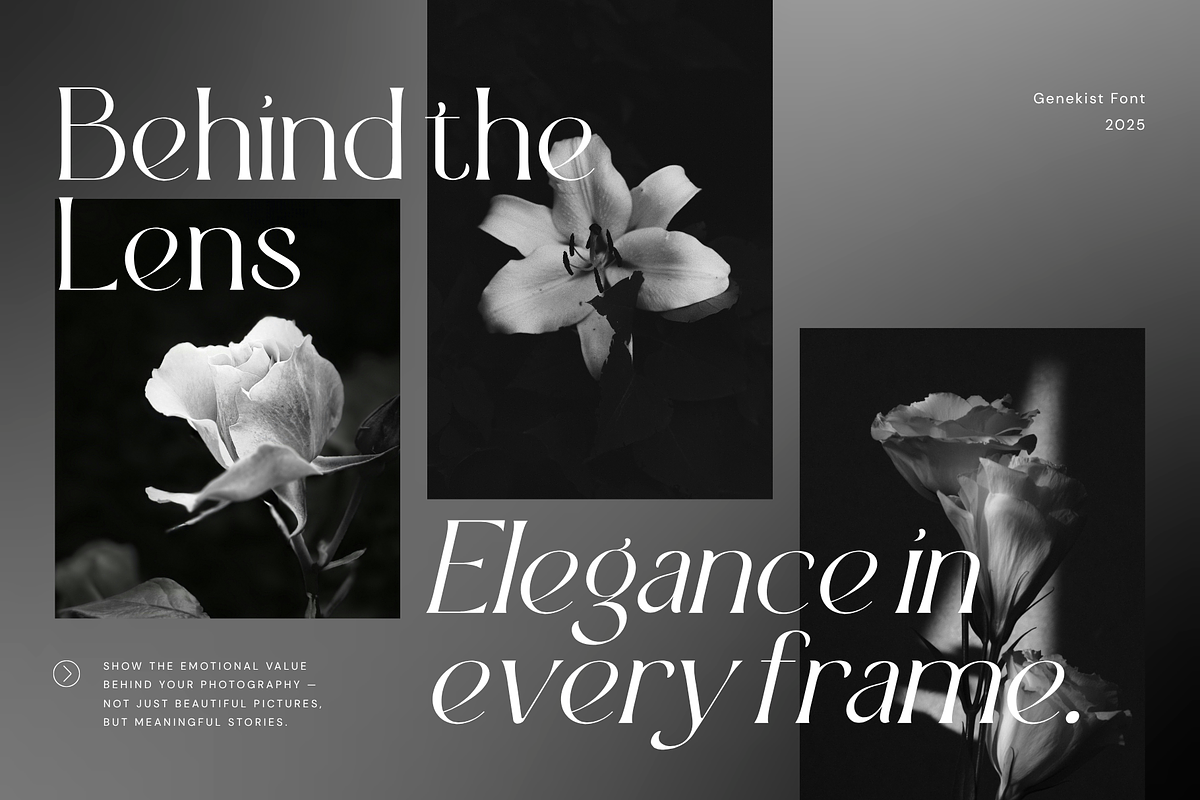 Genekist - Serif Font, a Font by Sronstudio (Photo 7 of 13)