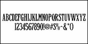 Newspaper Publisher JNL, a Serif Font by Jeff Levine Fonts (Thumbnail 3 of 5)